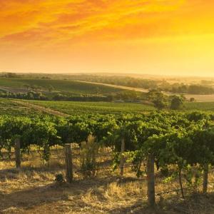 Barossa Valley